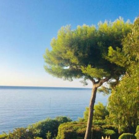 Villa Cannes Directly On The Sea Bagian luar foto